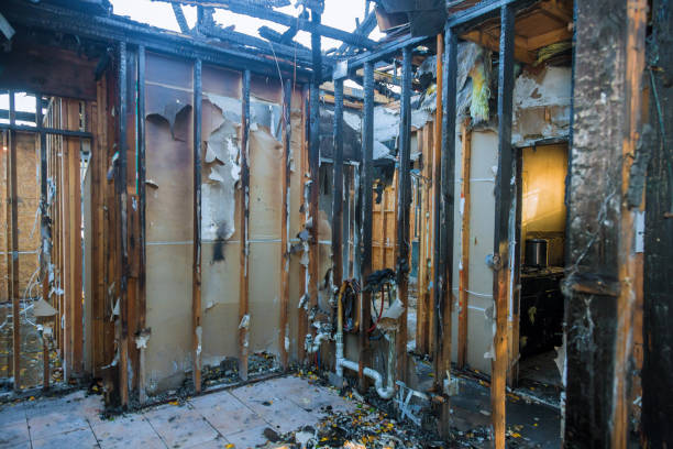 Professional Fire Damage Removal technician working in Chester, WV
